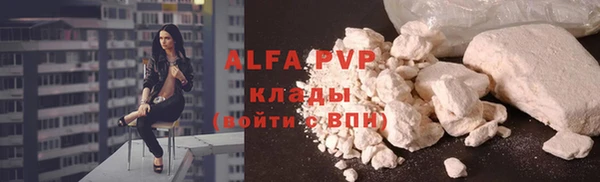 PSILOCYBIN Кинешма