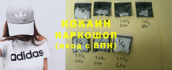 ешки Аркадак
