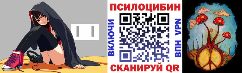 купить наркотик  Плавск  дарк нет наркотические препараты  Галлюциногенные грибы MAGIC MUSHROOMS 